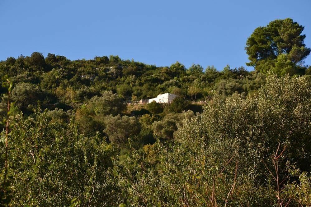 Apartament La Lamia 1864 by Typney Ostuni Zewnętrze zdjęcie
